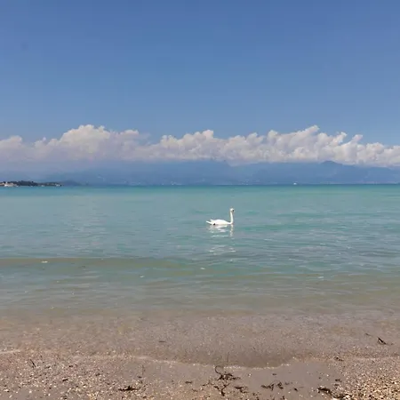 Elisea * Σιρμιόνε